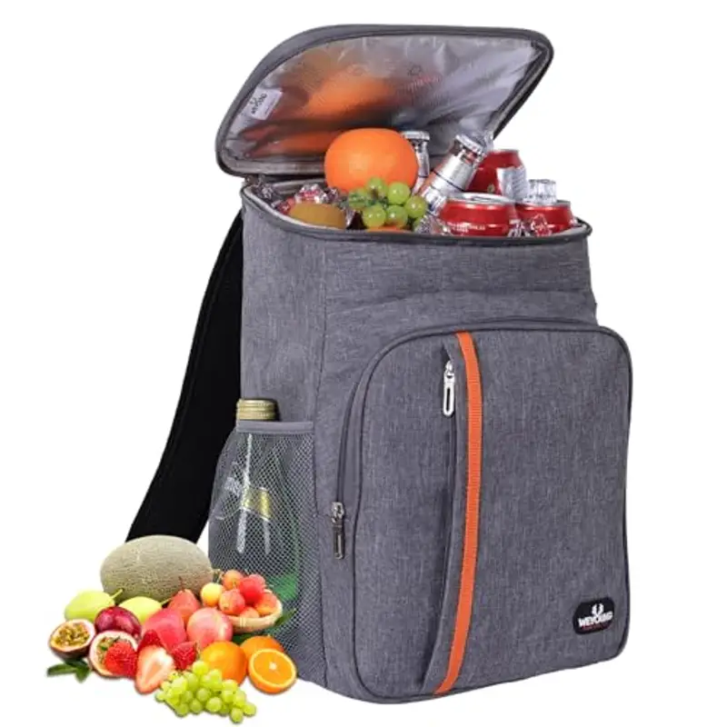 23L Zaino termico frigo, borsa frigo termica Porta Pranzo Zaino frigo termico portatile,mantiene il cibo caldo o freddo, adatto per campeggio, spiaggia, picnic, barbecue, eventi (Grigio)