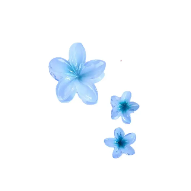 Fermaglio per capelli da donna 24 Colours