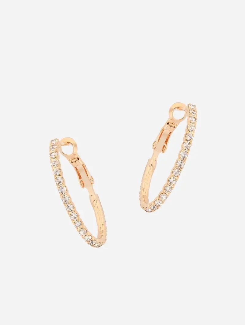 Abrazi Orecchini Rosa 2367321