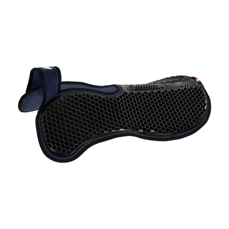 Salvagarrese Acavallo SP WFS