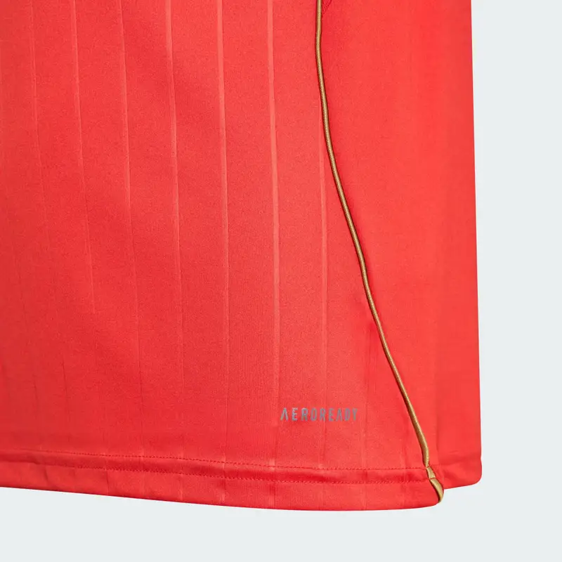 1. FC NÃ¼rnberg 25/26 Third Jersey Team Collegiate Red miniatura 3