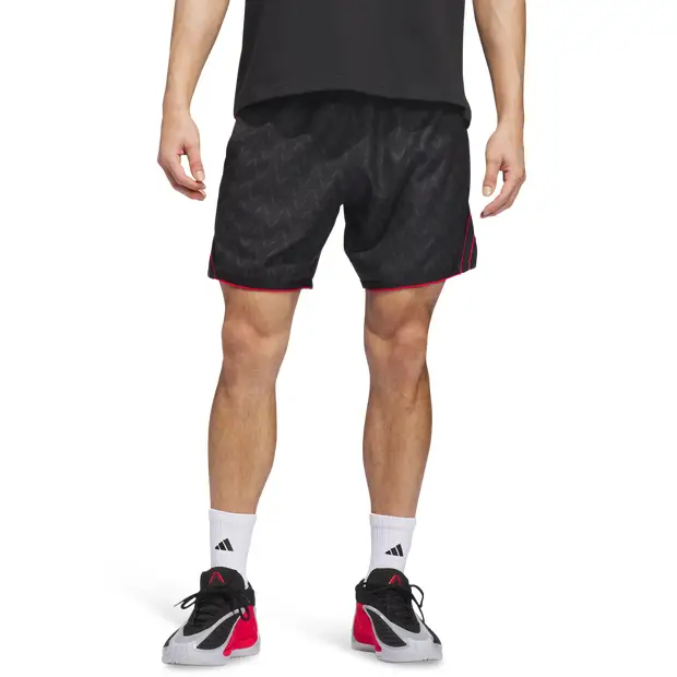 Ant Edwards Uomo - Pantaloncini Nero - Mesh Black