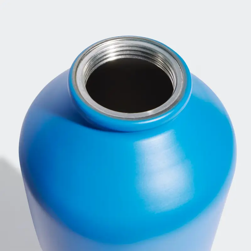 Borraccia Steel 0.75 L Bright Royal miniatura 3