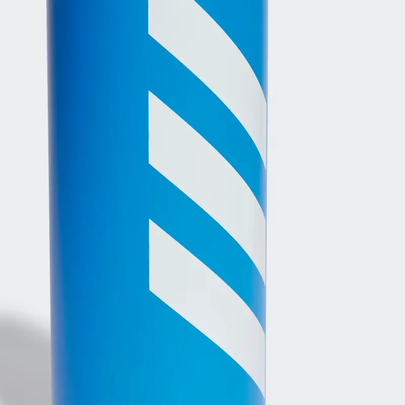 Borraccia Steel 0.75 L Bright Royal miniatura 4