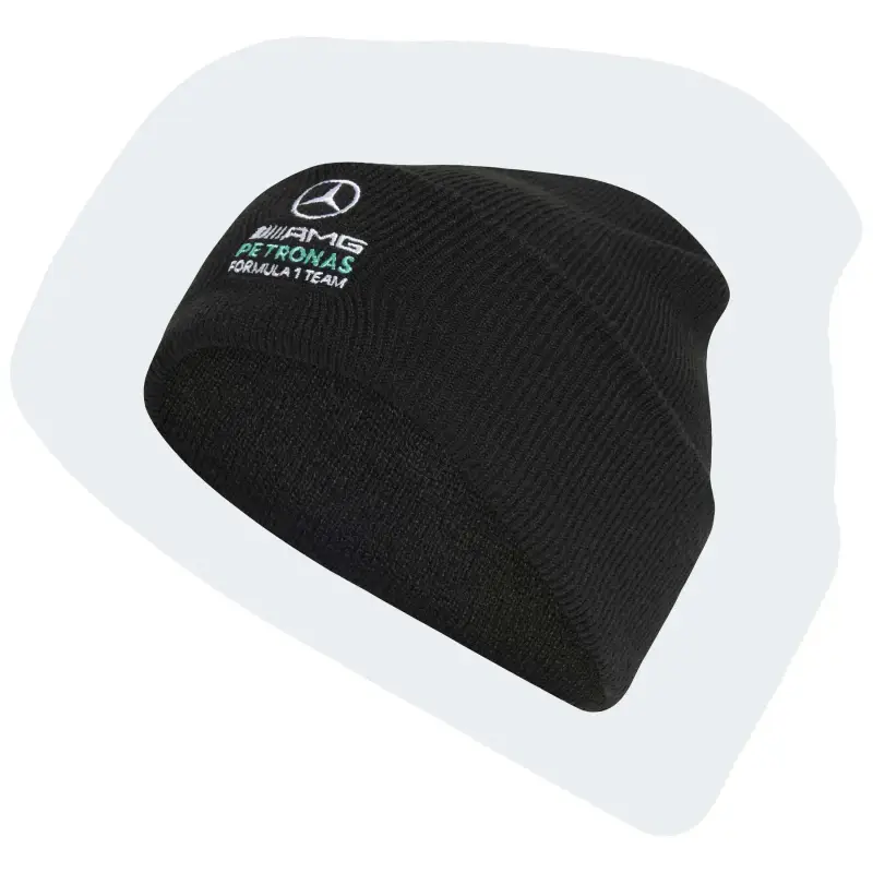 Cappuccio Mercedes AMG Petronas Formula One Team DNA
