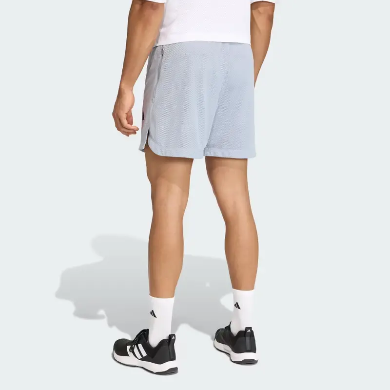 D4T POWER ESSENTIALS PANTALONCINI MESH DA ALLENAMENTO Halo Silver miniatura 2