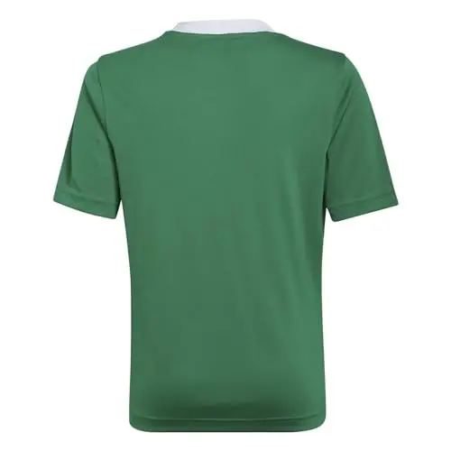 adidas Entrada 22 Jersey Camicia, Verde Squadra/Bianco, L Unisex miniatura 2