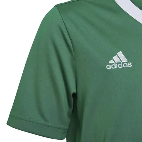 adidas Entrada 22 Jersey Camicia, Verde Squadra/Bianco, L Unisex miniatura 3