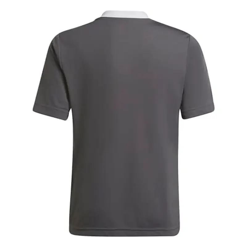 Adidas T-shirt 2298103 miniatura 2