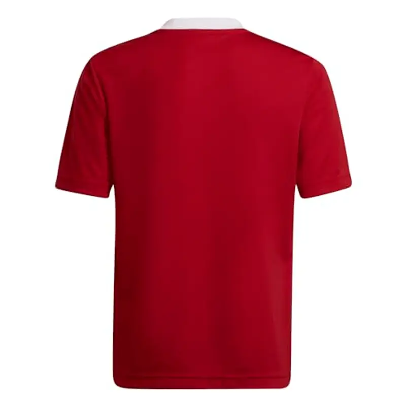 Adidas T-shirt 2298105 miniatura 3