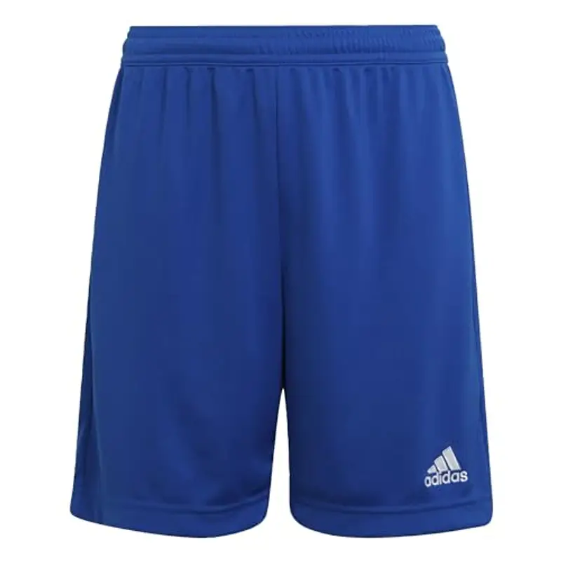Adidas Shorts / Pantaloncini 2157079