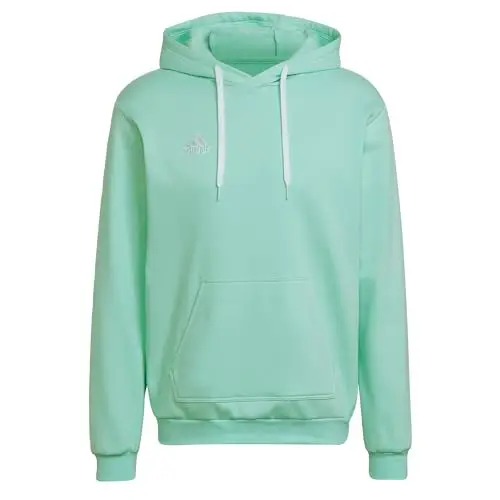 adidas Entrada 22 Sweat Hoodie Felpa con Cappuccio, Clear Mint, M Uomo