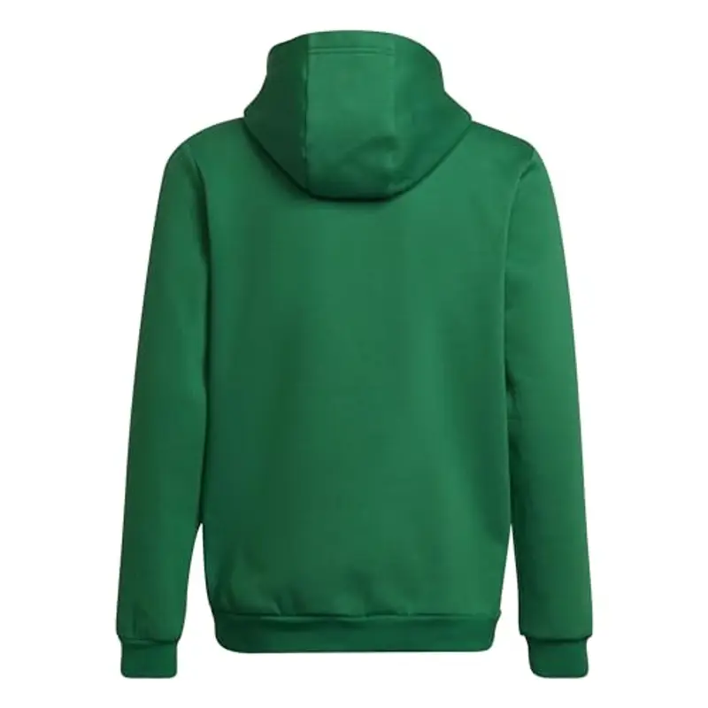 adidas Entrada 22 Sweat Hoodie, Felpa con Cappuccio Unisex-Bambini, Team Green/White, 11 miniatura 2