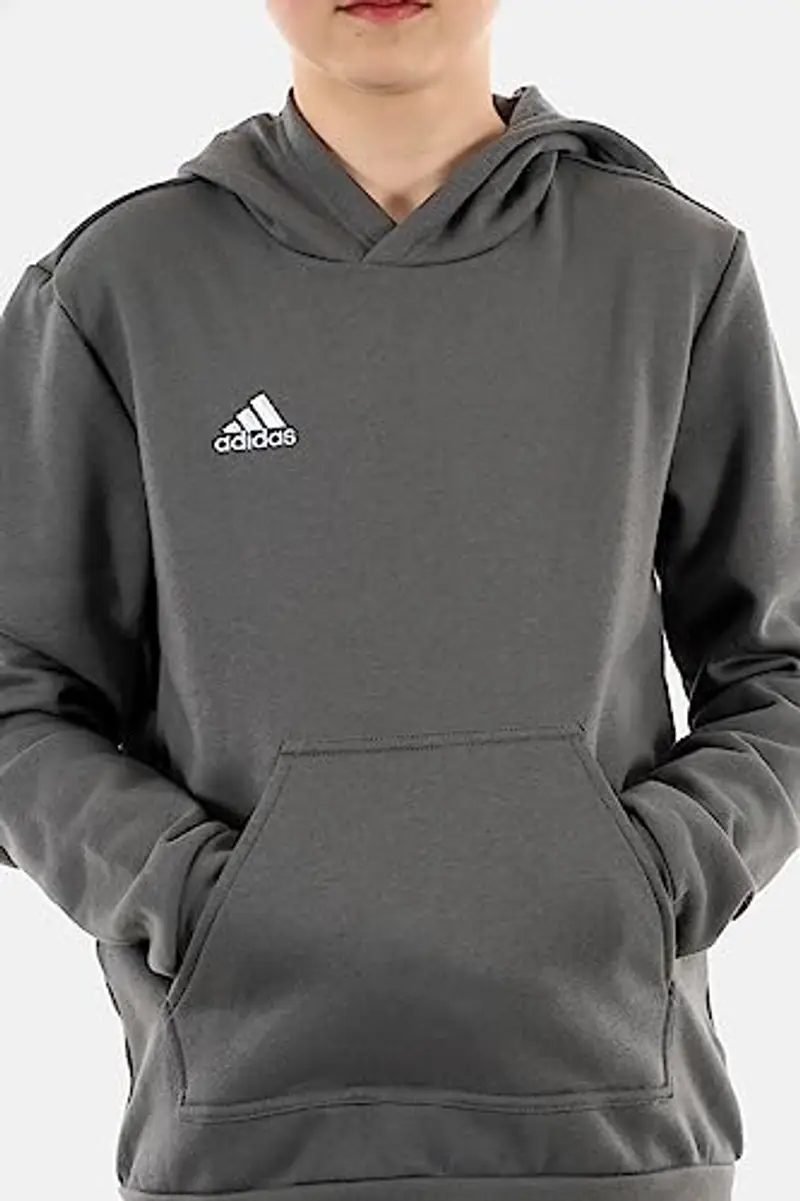 adidas Entrada 22 Sweat Hoodie, Felpa con Cappuccio Unisex-Bambini, Team Grey Four, 9 miniatura 2