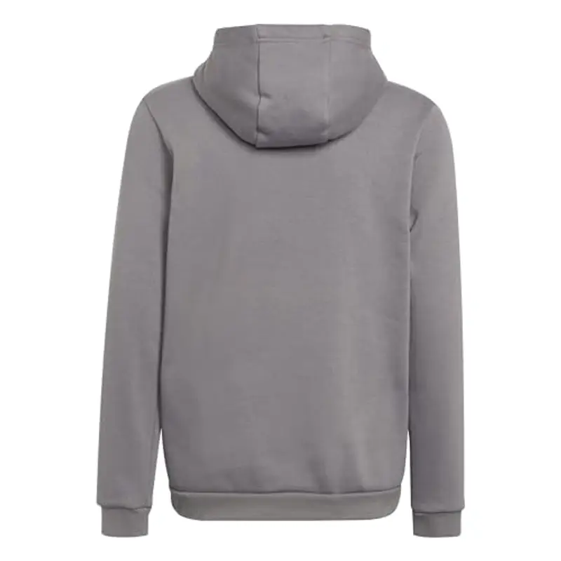 adidas Entrada 22 Sweat Hoodie, Felpa con Cappuccio Unisex-Bambini, Team Grey Four, 13 miniatura 3