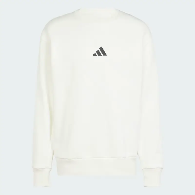 Felpa ALL SZN Fleece Graphic Off White miniatura 4