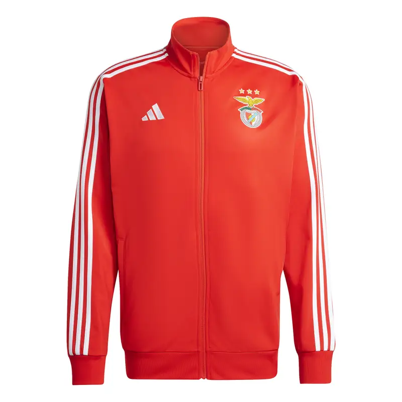 Felpa Benfica Lisbonne DNA 2024/25 Rouge