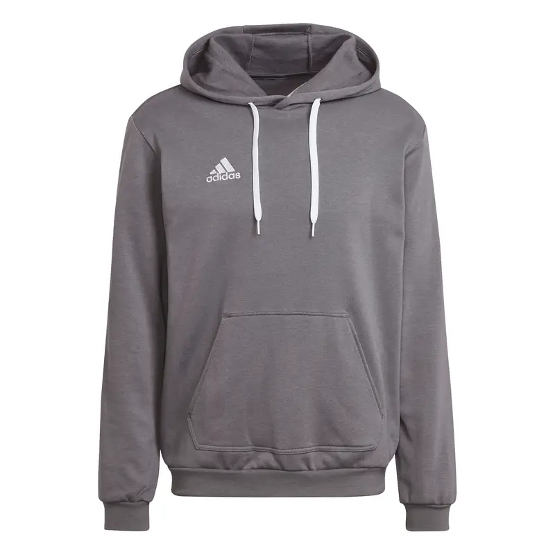 Felpa con cappuccio adidas Entrada 22 Gris