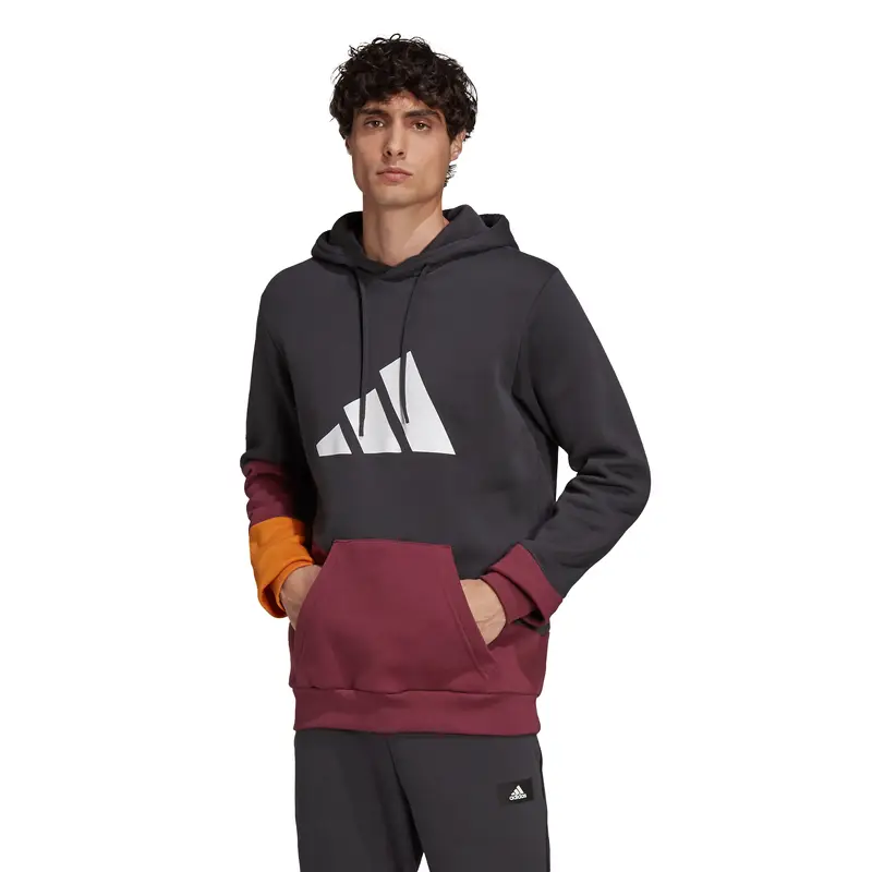 Felpa con cappuccio adidas Sportswear Colorblock Gris