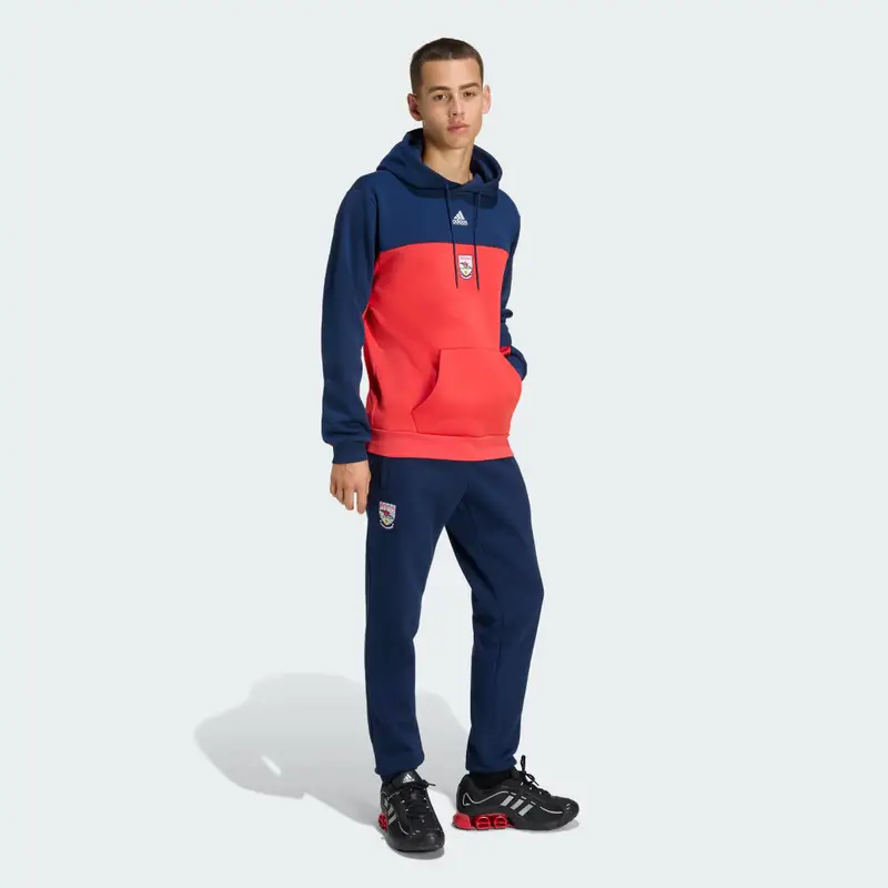 Felpa con cappuccio Arsenal 92-94 Team Collegiate Red miniatura 3