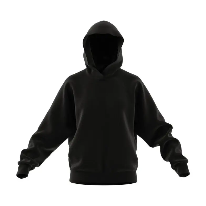 Felpa con cappuccio da donna Adidas All Szn Fleece Graphic Boyfriend Noir