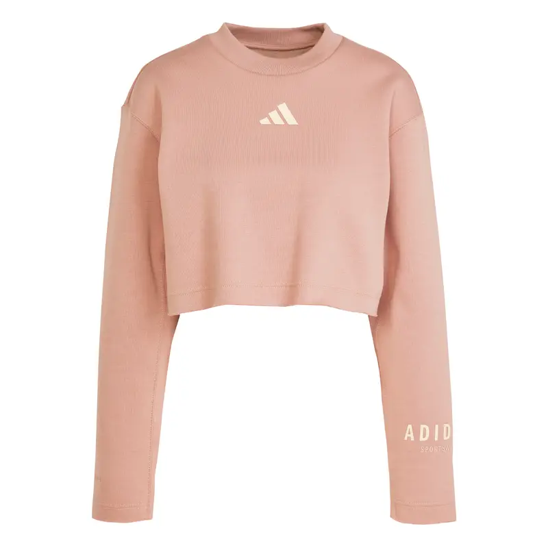 Felpa con cappuccio da donna adidas All Szn Graphic Rose