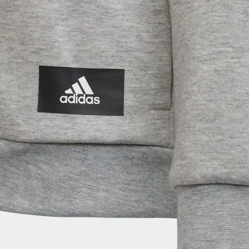 Felpa con cappuccio Future Icons 3-Stripes Full-Zip Medium Grey Heather miniatura 4
