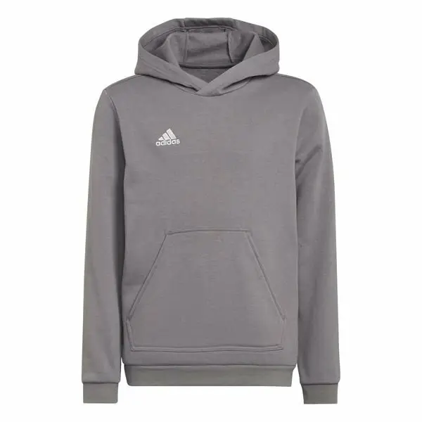 Felpa con cappuccio per bambini adidas Entrada 22 Gris