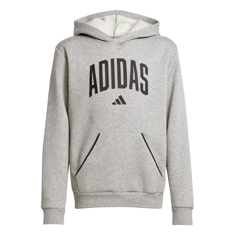 Felpa con cappuccio per bambini adidas Essentials Collegiate Typography Gris