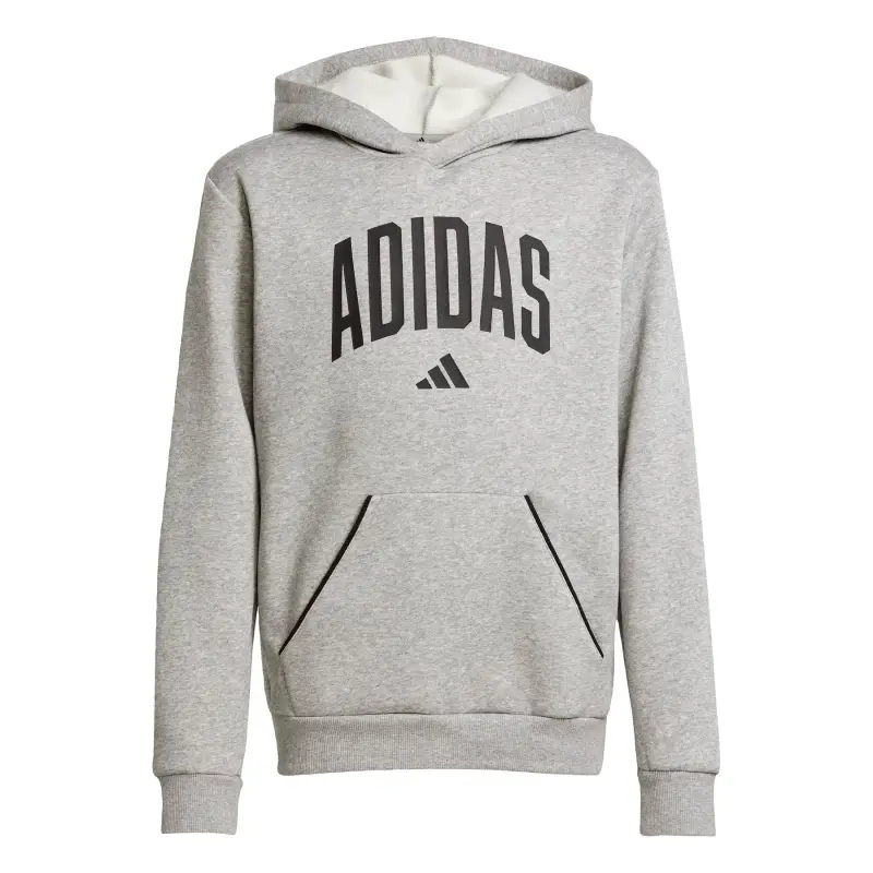 Felpa con cappuccio per bambini adidas Essentials Collegiate Typography