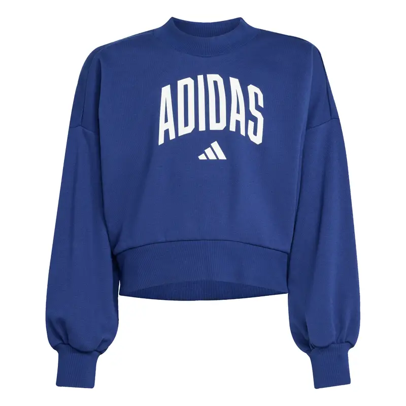 Felpa da bambina adidas Essentials Collegiate Typography Bleu