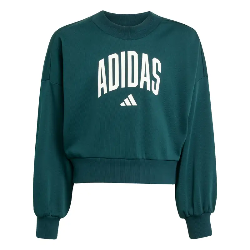 Felpa da bambina adidas Essentials Collegiate Typography Vert