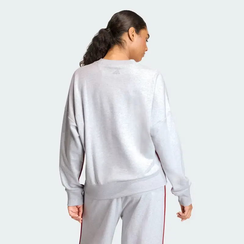 Felpa Seasonal Essentials Colorpop con grafica ricamata Light Grey Heather miniatura 2