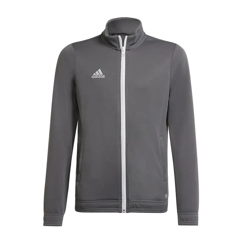 Giacca della tuta per bambini adidas Entrada 22 Gris