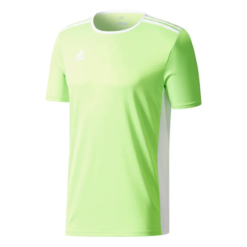 Jersey adidas Entrada 18 Vert