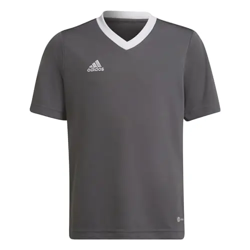 adidas Kids' Entrada 22 Jersey, Grey, XX