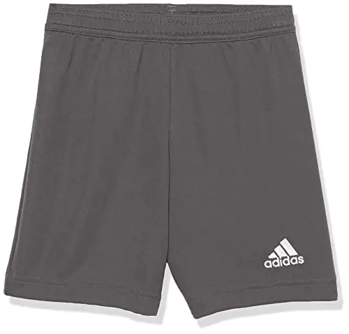 adidas Kids' Entrada 22 Shorts, Team Grey Four, Small