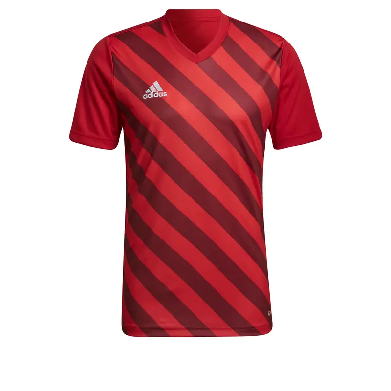 Maglia adidas Entrada 22 Graphic Rouge