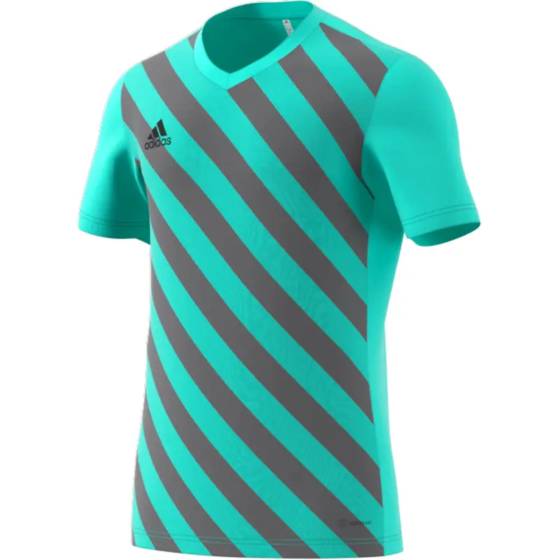 Maglia adidas Entrada 22 Graphic Vert