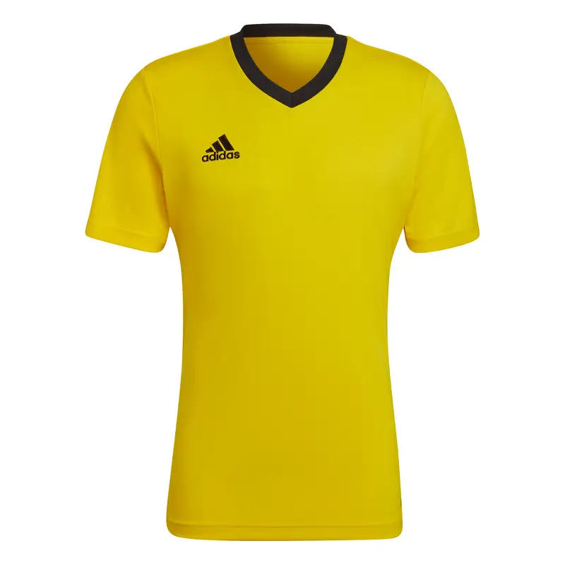 Maglia adidas Entrada 22 Jaune