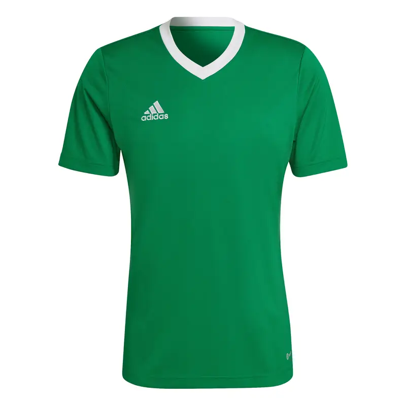 Maglia Adidas Entrada 22 Vert