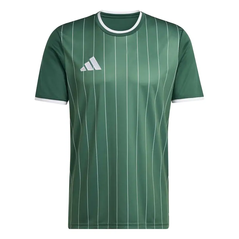 Maglia adidas Entrada26 Graphic Vert