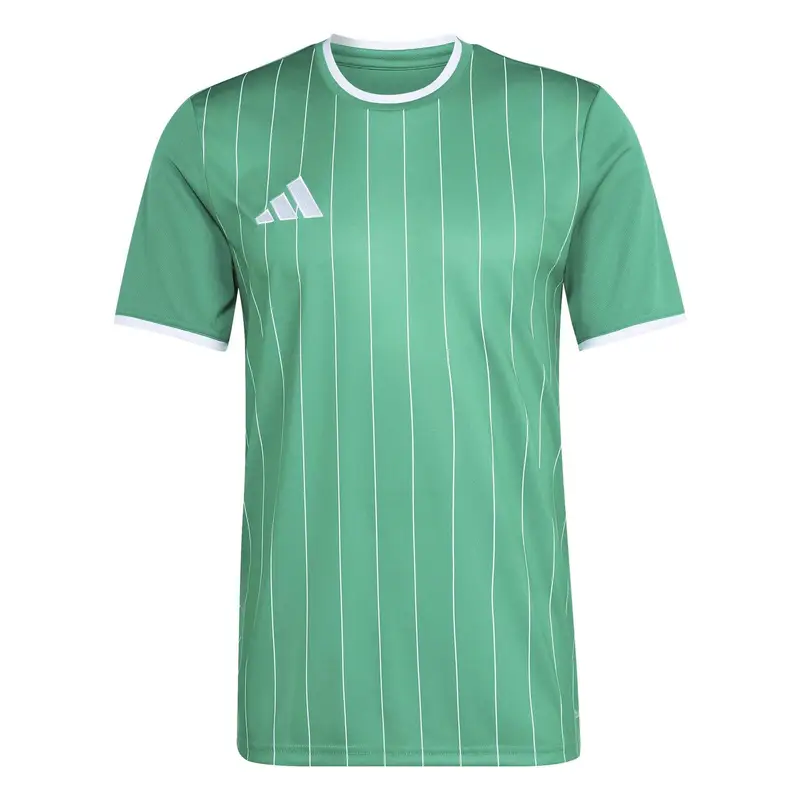 Maglia adidas Entrada26 Graphic Vert