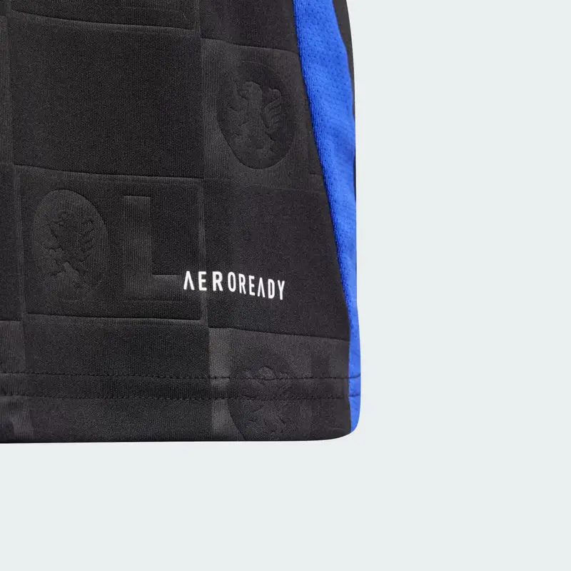 Maglia Away 24/25 Junior Olympique Lyonnais Black miniatura 3