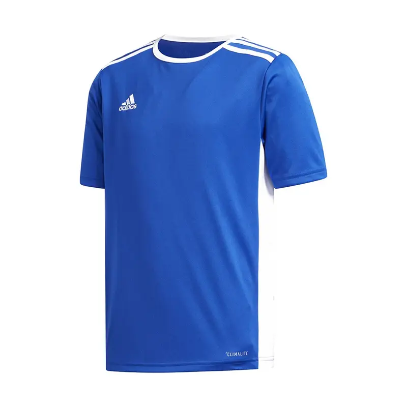 maglia calcio entrada 18 team blu royal bianco bambino 7-8 Anni