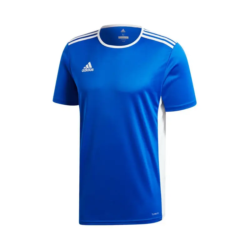 maglia calcio entrada 18 team blu royal bianco uomo 5-6 Anni