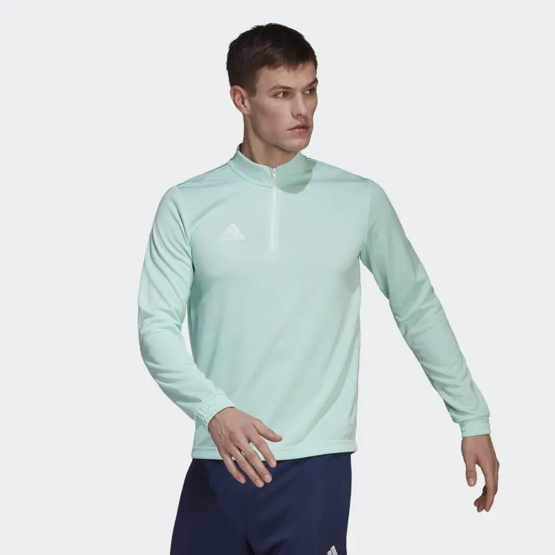 Maglia da allenamento Entrada 22 | Adidas Verde acqua