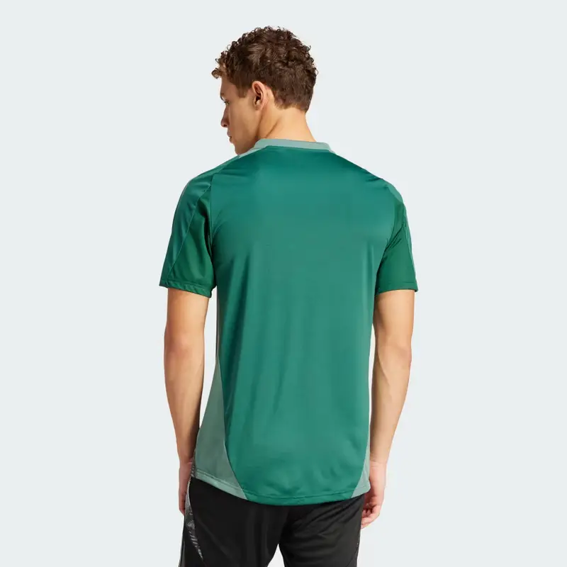 Maglia da allenamento Tiro 24 Algeria Team Dark Green miniatura 2