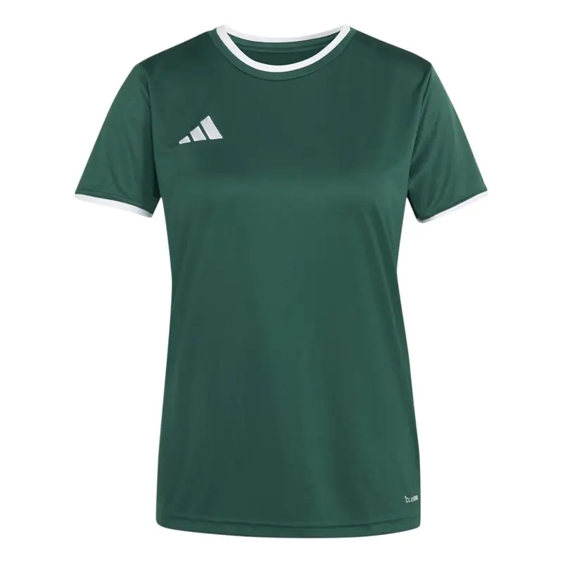 Maglia da donna adidas Entrada26 Vert