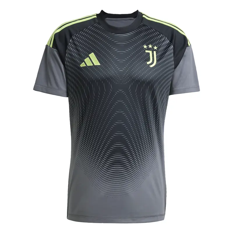 Maglia da portiere Casa Juventus Torino 2025/26 Gris